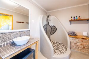 Elephant-themed en-suite shower at Etosha Safari Camp