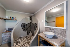 Modern bathroom and patterned shower at Etosha Safari Camp