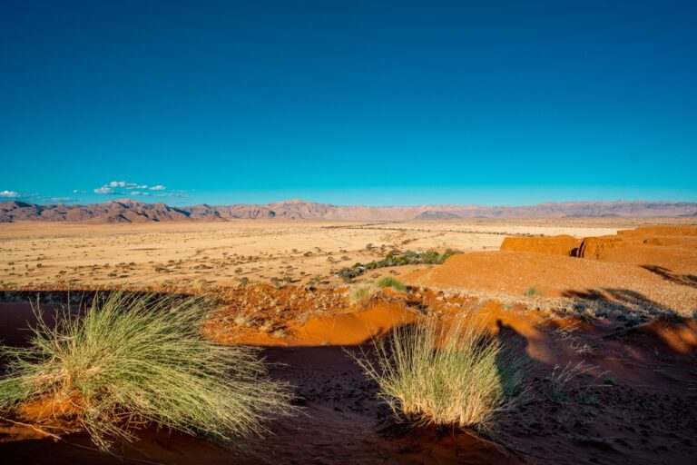 Red dunes near Namib Desert Lodge accommodation