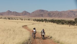Guests exploring the plains near Namib Desert Lodge