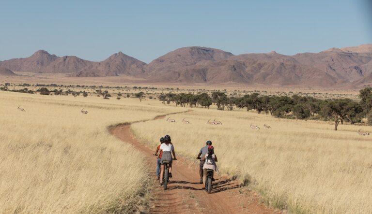 Guests exploring the plains near Namib Desert Lodge