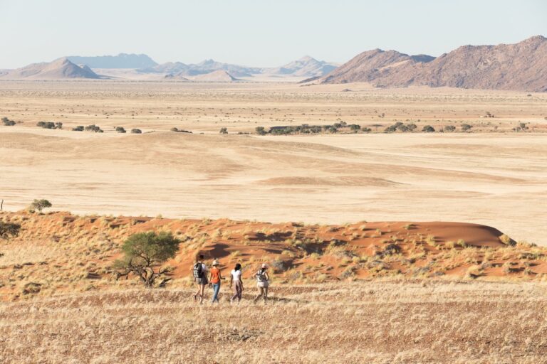 Guided walk in the Namib near the desert lodge