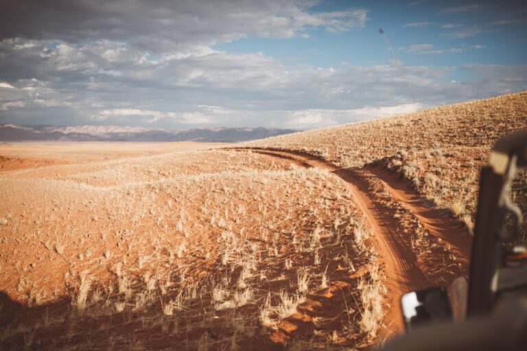 Outdoor desert dining experience from Namib Desert Lodge