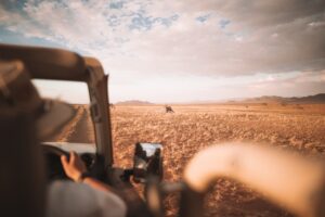 Traveller photographing wildlife near Namib Desert Lodge