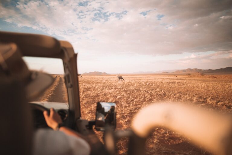 Traveller photographing wildlife near Namib Desert Lodge