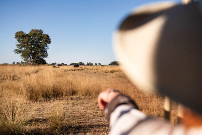 Wildlife sighting during a Bwabwata game drive