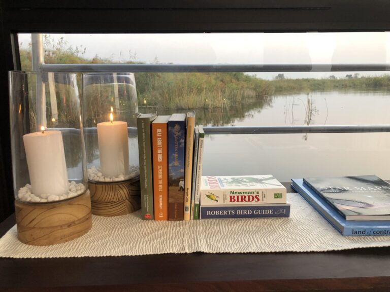 Birding guides and Kwando River views at Namushasha River Villa