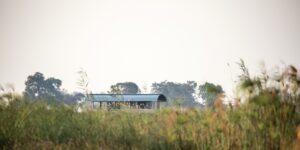 Namushasha River Villa set among the floodplain reeds