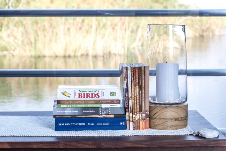 Bird guides and candles beside the Kwando River view