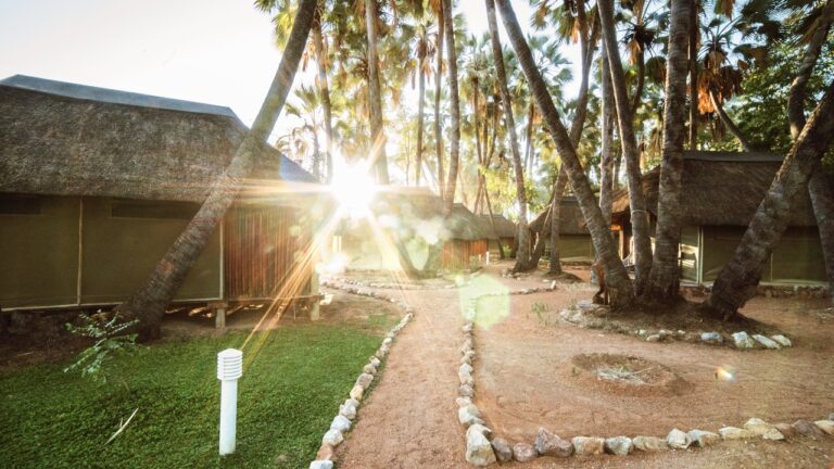 Garden pathway through Omarunga Epupa-Falls Camp