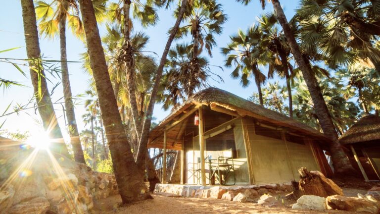 Omarunga Epupa-Falls Camp chalet beneath riverside palms