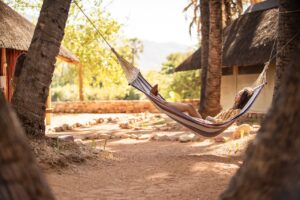 Hammock beneath the palms at Epupa Falls accommodation
