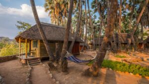 Omarunga Epupa-Falls Camp chalet in the palm grove