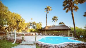 Palmwag Lodge swimming pool and surrounding palm trees