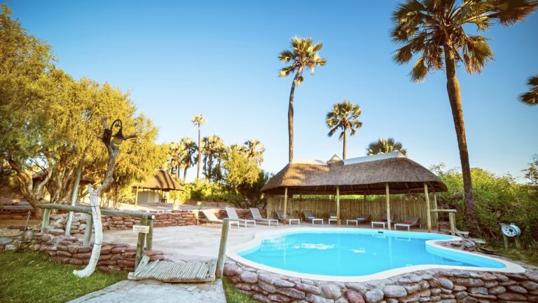 Palmwag Lodge swimming pool and surrounding palm trees