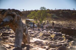 Guided Damaraland excursion from Palmwag Lodge