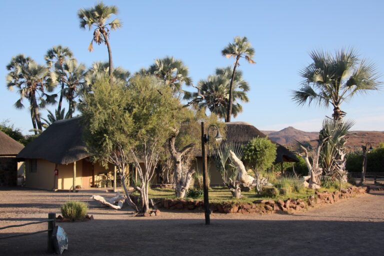 Palmwag Lodge bungalows among makalani palms