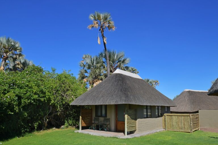 Thatched Palmwag Lodge bungalow with a private veranda