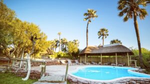 Palmwag Lodge pool and palm trees beneath a blue sky