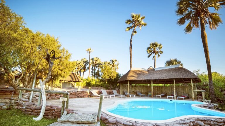 Palmwag Lodge pool and palm trees beneath a blue sky