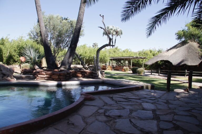 Stone-edged pool and shaded loungers at Palmwag Lodge