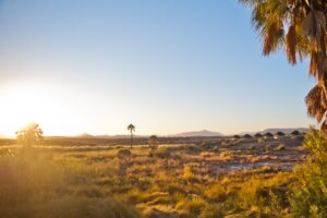 Golden grassland and mountains surrounding Palmwag Lodge