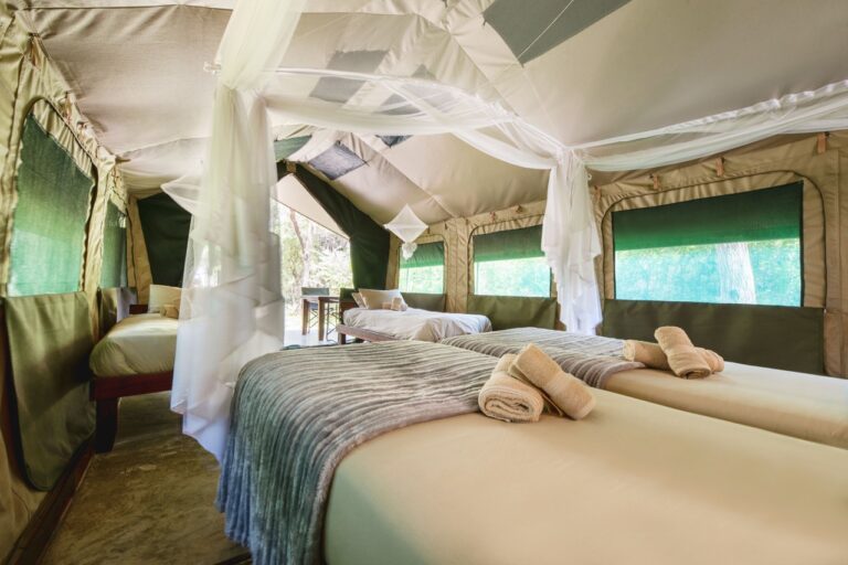Four-bed self-catering safari tent interior at Zambezi Mubala Camp