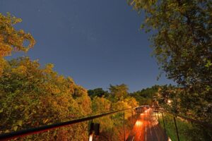Raised lodge walkway through the riverside woodland at dusk