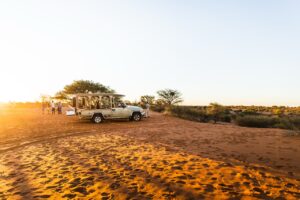 Open safari vehicle on a Kalahari Anib Lodge activity