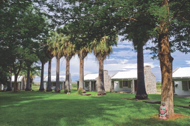 Palm garden and bungalows at Kalahari Farmhouse accommodation