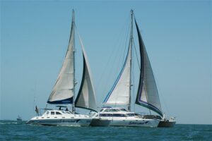 Dolphin & Seal Cruise – gallery image 4