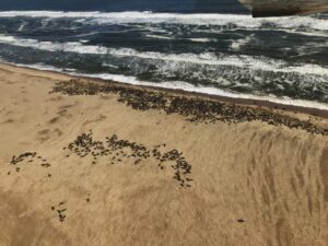 Scenic Flights – gallery image 9