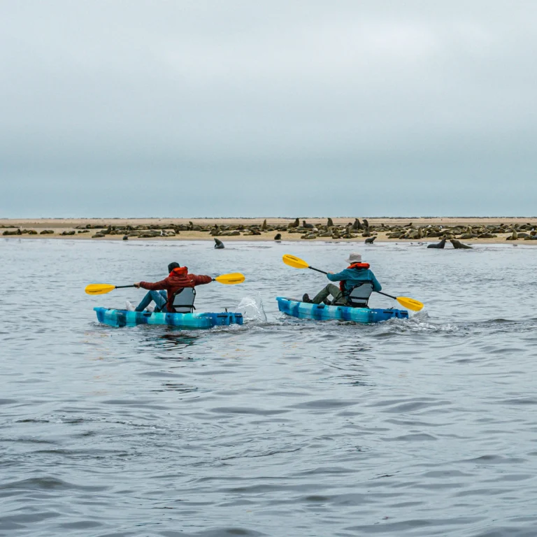 Marine Kayak Combo – gallery image 2