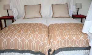 Cheetah View Lodge guest room