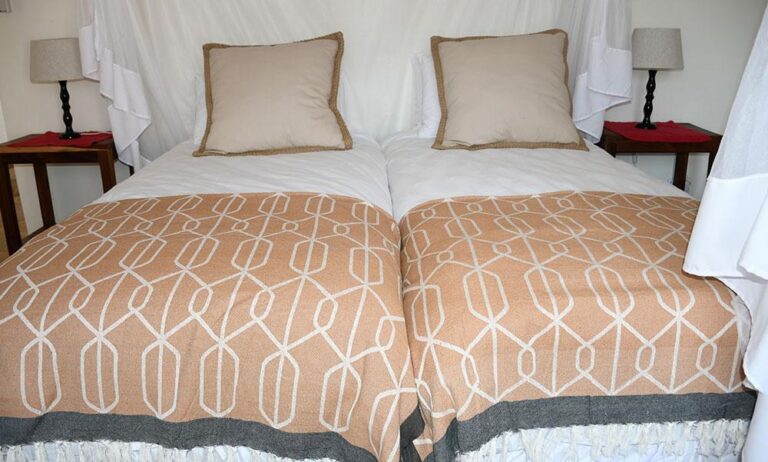Cheetah View Lodge guest room