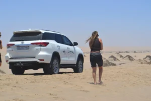 Marine Dune Day – gallery image 4