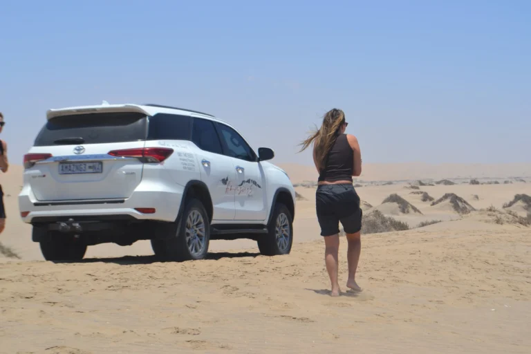 Marine Dune Day – gallery image 4