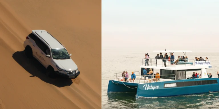 Marine Dune Day – gallery image 2
