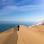 Fat Bike Tours – gallery image 1