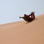 Sandboarding – gallery image 1