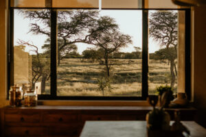 Savanna Luxury Villa at Otjiwa Collection - gallery image 7