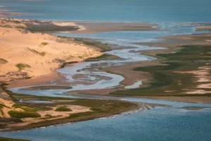 Marine Dune Day – gallery image 3