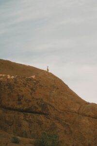 Small desert animal standing on a granite ridge at Spitzkoppe
