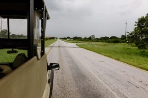 Road viewed from a safari vehicle near Buffalo Tented Camp