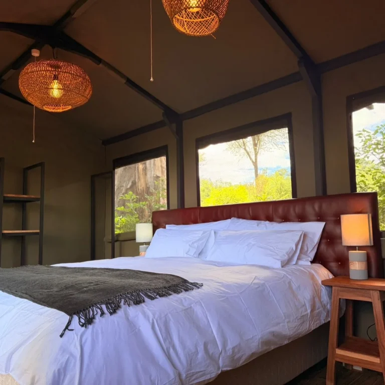 Double bed and large windows inside a Buffalo Tented Camp tent