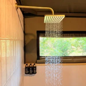 Indoor shower with rainfall showerhead at Buffalo Tented Camp