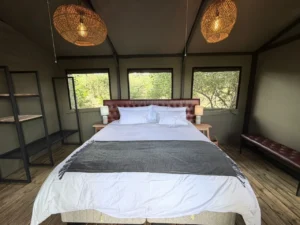 Double bed and windows inside a furnished Buffalo Tented Camp tent