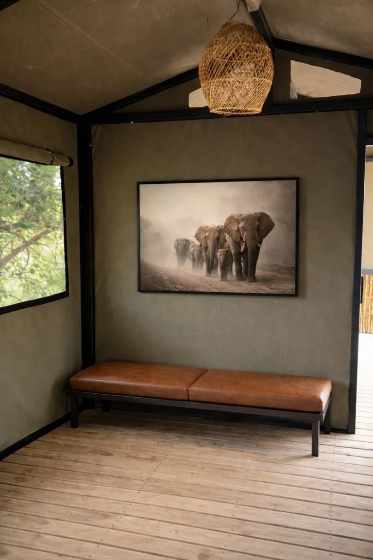 Bench and buffalo artwork inside a Buffalo Tented Camp tent