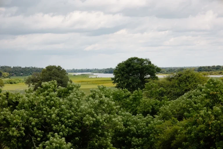 Woodland and floodplain landscape in the Buffalo area of Bwabwata