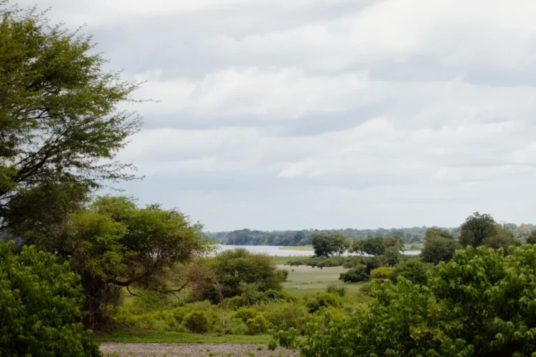 River and wooded landscape in Bwabwata National Park